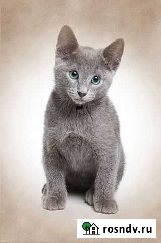 Сладкая девочка в добрые руки - безумно ласковая Москва - изображение 1