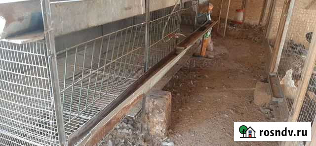 Клетка для кур Гвардейское - изображение 1