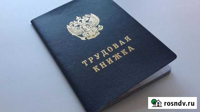 Трудовая книжка Ядрин - изображение 1
