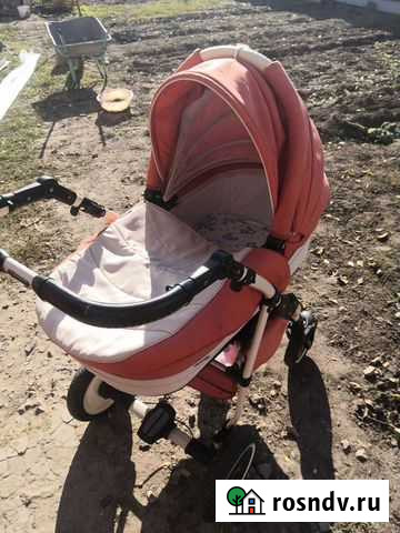 Коляска 2 в 1 adamex reggio Жуковка - изображение 1