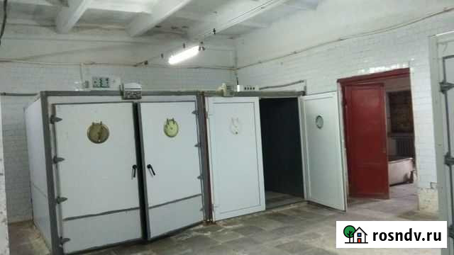 Инкубаторий Белинский - изображение 1