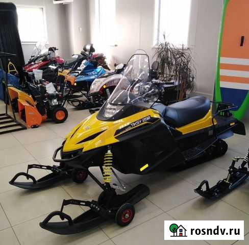 Снегоход Тикси 250 Люкс Ульяновск - изображение 1