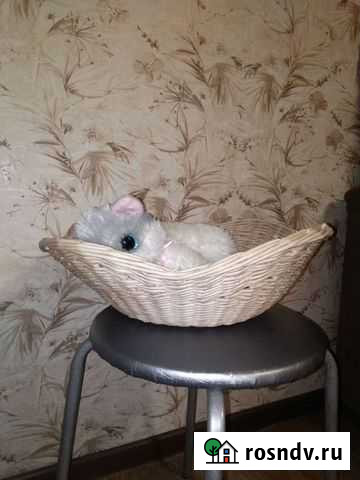 Лежак для животных Богородицк - изображение 1