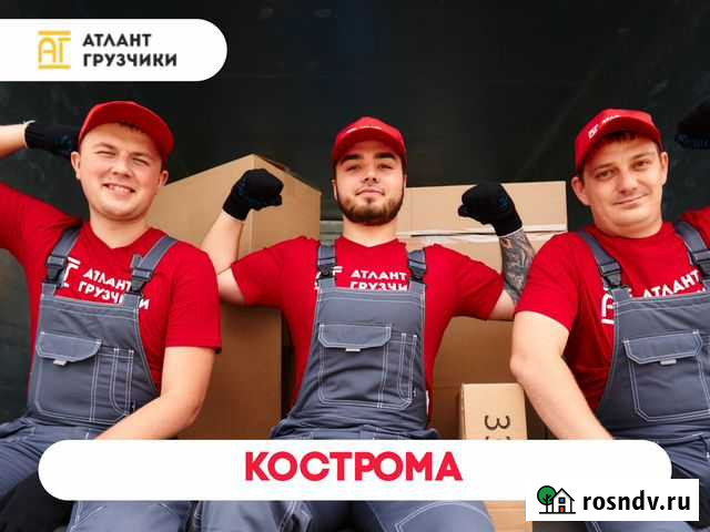 Грузчики Кострома - изображение 1