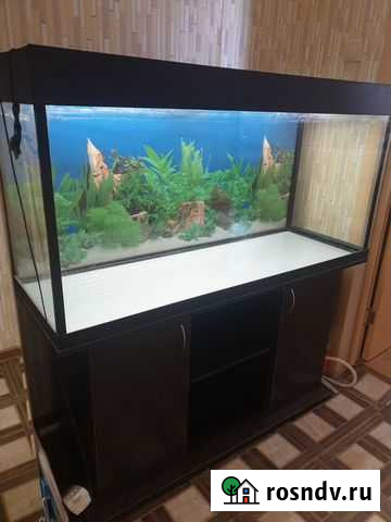 Аквариум с тумбой 350 литров Одинцово - изображение 1