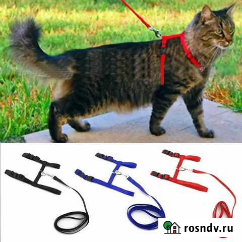 Ошейник для кошки, собаки регулируемый, разные цве Красково - изображение 1