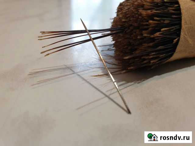 Щетина кабана для рыбалки Вилючинск - изображение 1