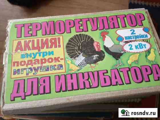 Терморегулятор для инкубатора Петровская