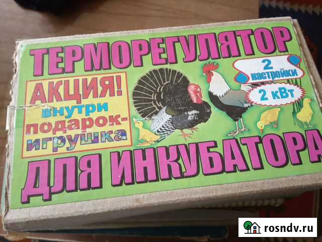 Терморегулятор для инкубатора Петровская - изображение 1