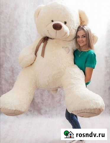 Плюшевый медведь Псков - изображение 1