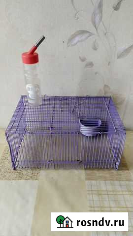 Клетка и поильник Обнинск - изображение 1
