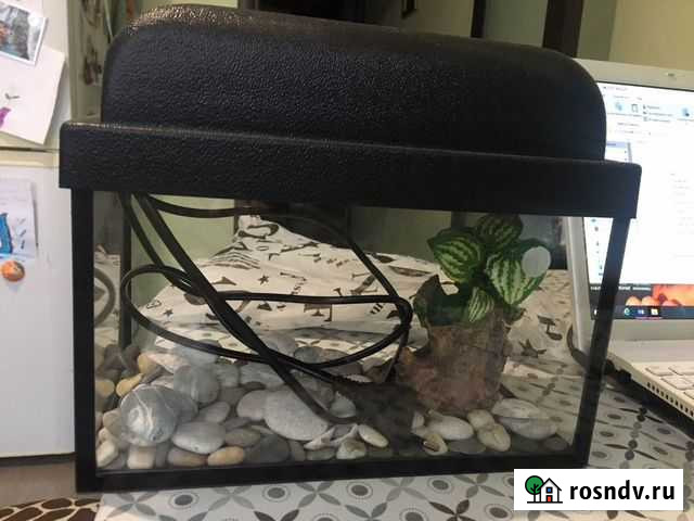 Аквариум 5 л с освещением в идеале Мытищи - изображение 1