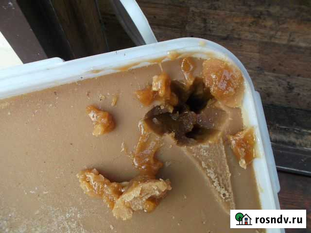 Продам гречневый мед Горно-Алтайск - изображение 1