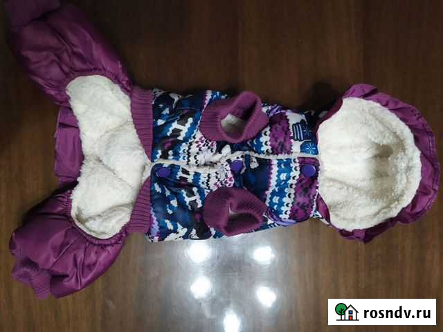 Одежда для маленьких собак Мокшан - изображение 1