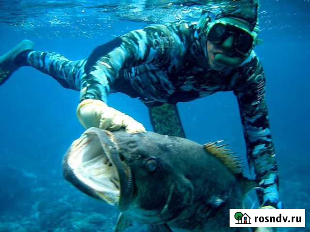 Ремонт и то подводных ружей / подводная охота Ростов-на-Дону - изображение 1