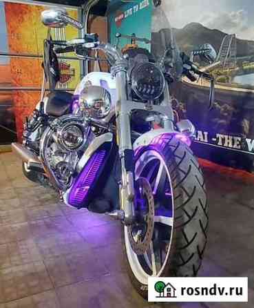 Harley davidson Muscle Шишкин Лес