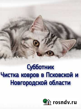 Химчистка мягкой мебели Псков - изображение 1
