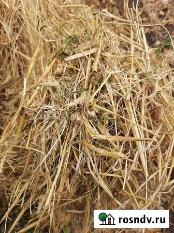 Сено Солома в рулонах Иловка - изображение 1