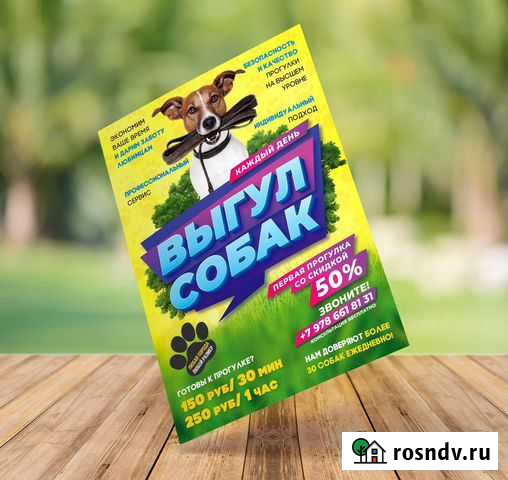 Графический дизайнер Севастополь - изображение 1