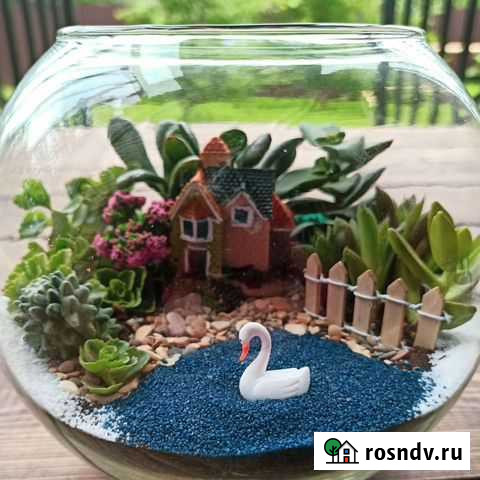 Флорариум минисад Санкт-Петербург - изображение 1