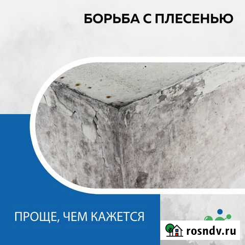 Уничтожение плесени Нефтекамск - изображение 1