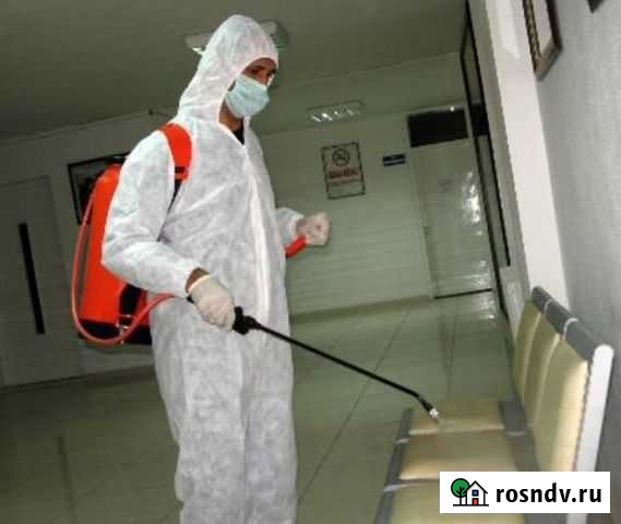 Уничтожение Тараканов, Клещей, Клопов. Дезинфекция Ульяновск - изображение 1