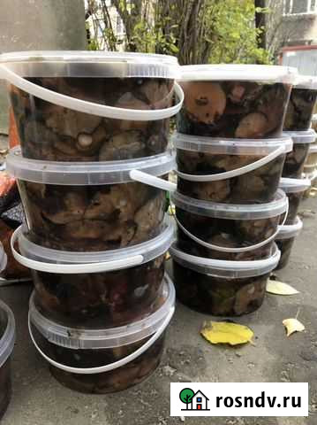 Грузди Лосино-Петровский - изображение 1