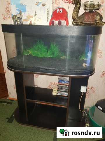 Аквариум Тольятти - изображение 1