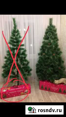 Елка пушистая Новокузнецк - изображение 1