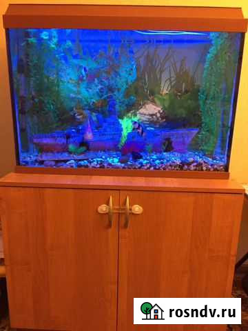 Аквариум Пушкино - изображение 1