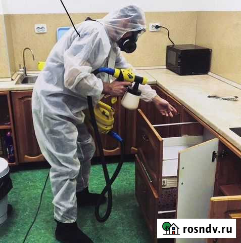 Уничтожение клопов, тараканов. Гарантия, договор Красноярск - изображение 1