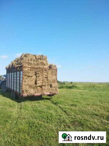 Сено в тюках Тамбовка - изображение 1