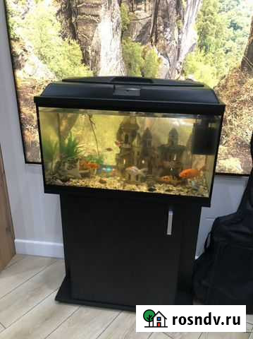 Аквариум Крымск - изображение 1