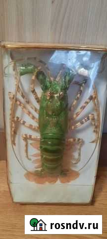 Лобстер Краснодар - изображение 1