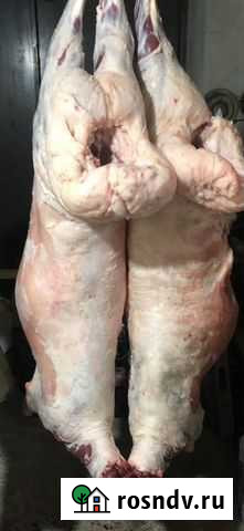 Мясо Махачкала - изображение 1