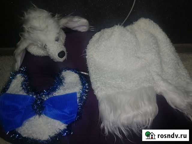 Костюм собачки Омск - изображение 1