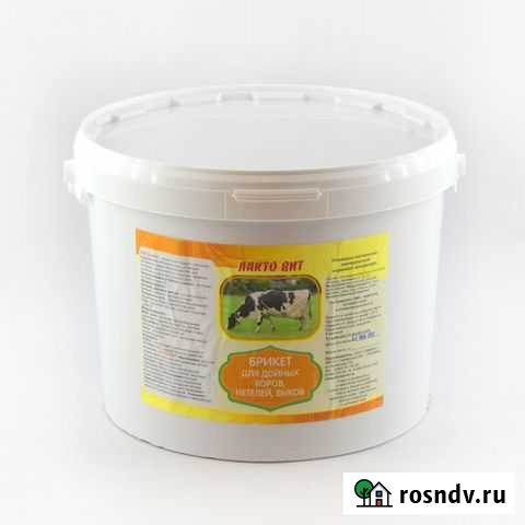 Паточный лизунец Прибельский - изображение 1