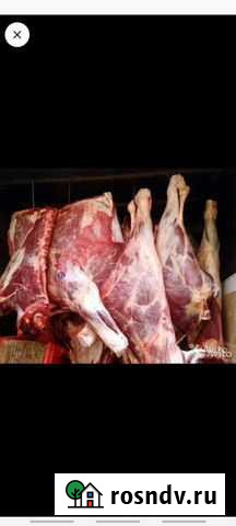 Мясо говядины Тамбов - изображение 1