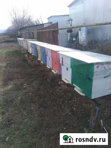 Улики Новоалексеевская - изображение 1