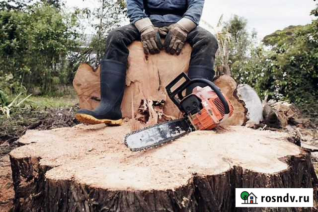 Спил деревьев, корчевание, покос травы, расчистка Белгород - изображение 1