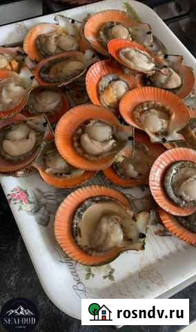 Гребешок Дмитров - изображение 1