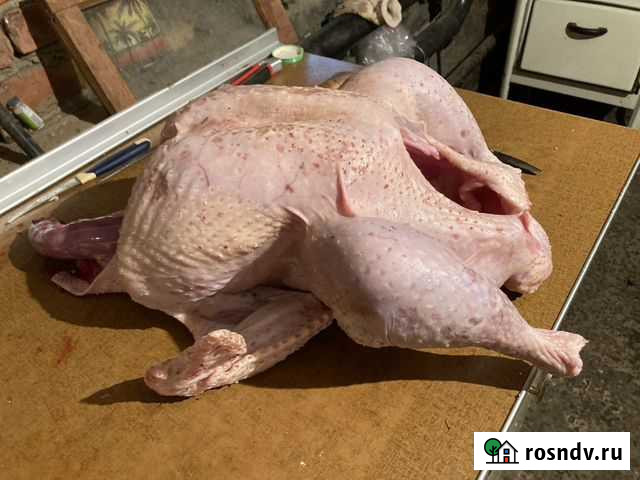 Мясо домашней индейки Цимлянск - изображение 1