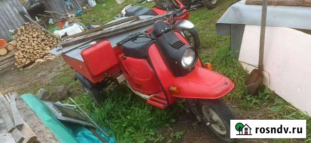 Продам муравья Молочное - изображение 1