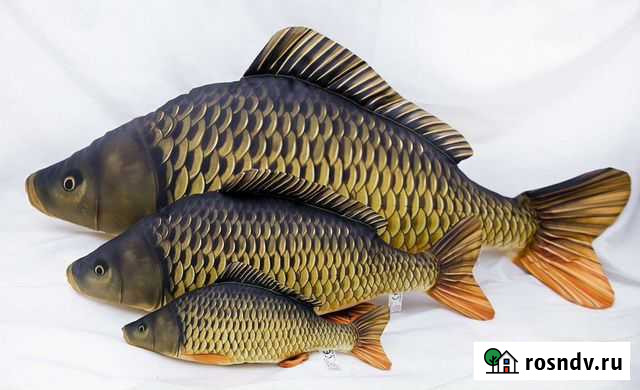 Живая рыба Вязьма - изображение 1