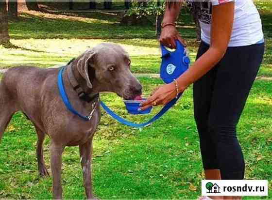 Поводок-рулетка лента для собак 5 в 1 Aqua Leash Москва