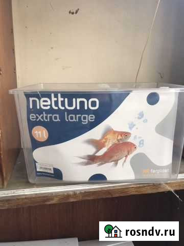 Аквариум 11л Калининград - изображение 1