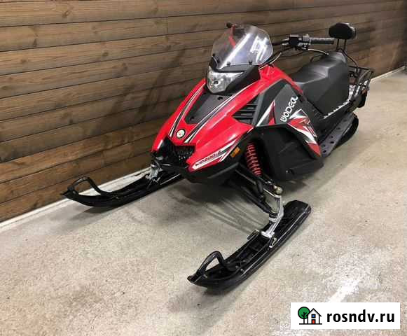 Снегоход Woideal WD 200 Ижевск - изображение 1