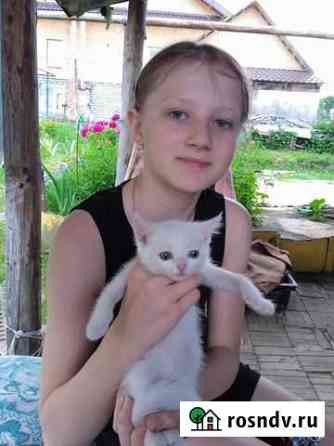 В добрые руки Павлово