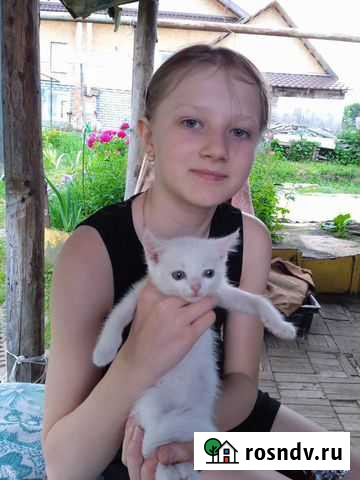 В добрые руки Павлово - изображение 1