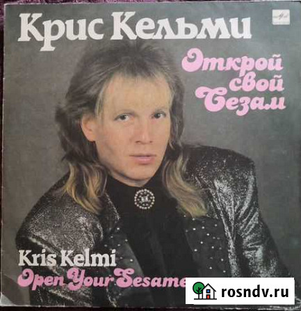 Виниловые пластинки Мичуринск - изображение 1